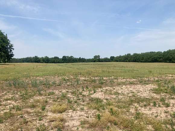 19.3 Acres of Land for Sale in Byron Center, Michigan