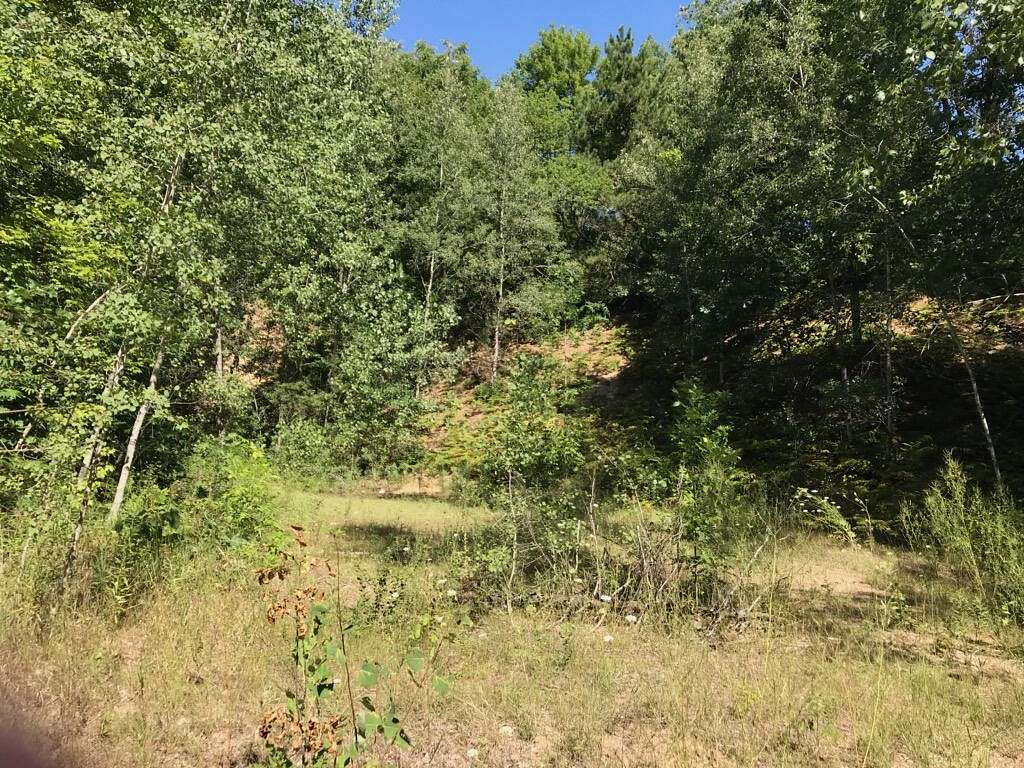 0.89 Acres of Residential Land for Sale in Hesperia, Michigan