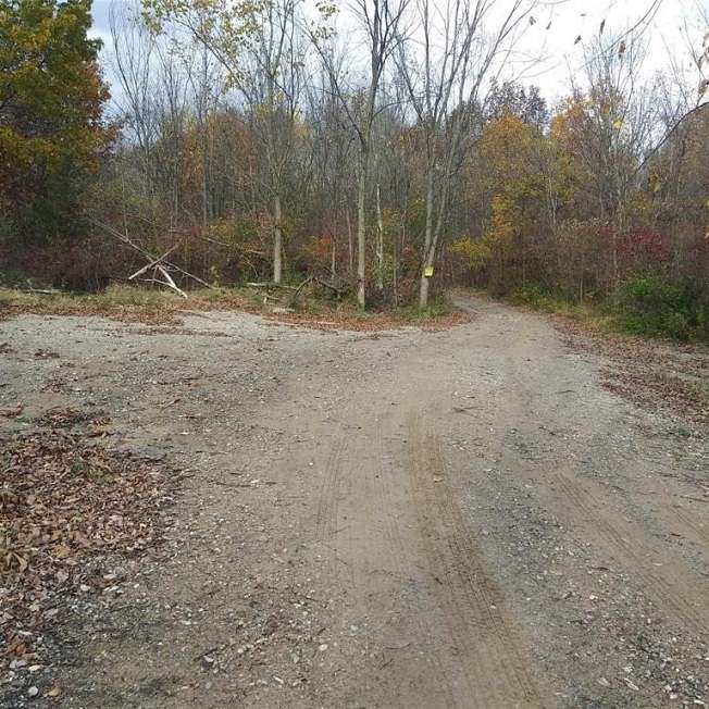 16.5 Acres of Land for Sale in Holly, Michigan