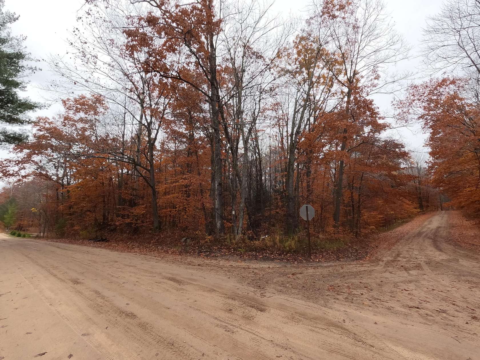 5.4 Acres of Land for Sale in Tustin, Michigan
