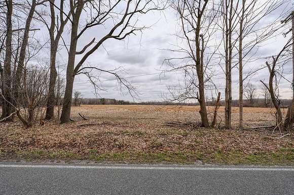 40 Acres of Agricultural Land for Sale in Six Lakes, Michigan