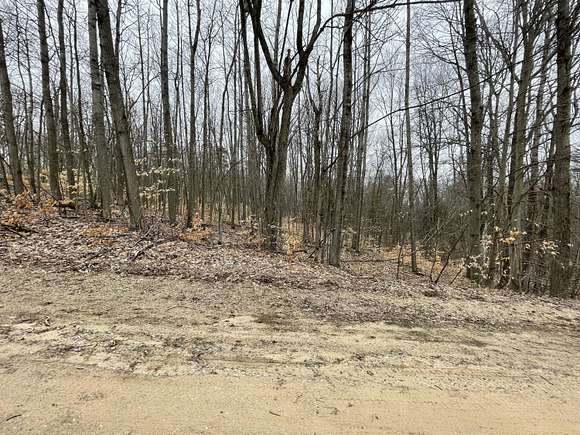 1 Acre of Residential Land for Sale in Le Roy, Michigan