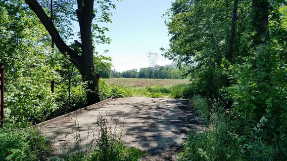 40 Acres of Agricultural Land for Sale in Sawyer, Michigan