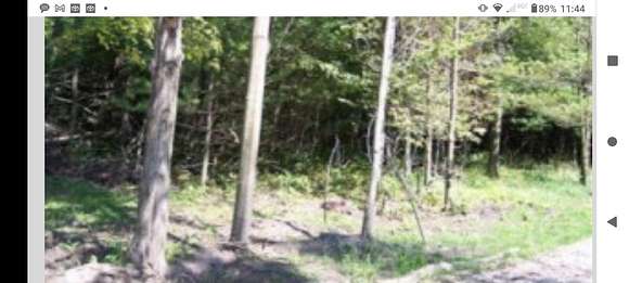 5.5 Acres of Agricultural Land for Sale in Fennville, Michigan
