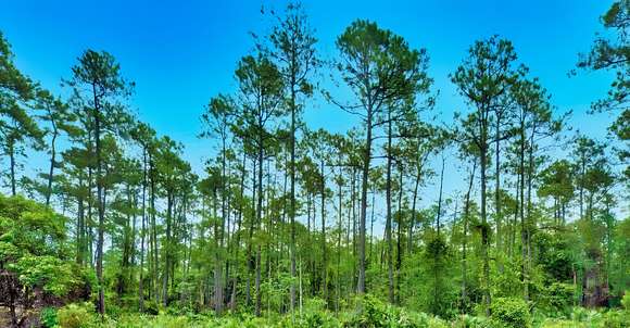 1.3 Acres of Recreational Land for Sale in Deltona, Florida