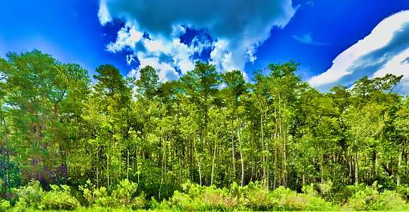 2.5 Acres of Recreational Land for Sale in DeLand, Florida
