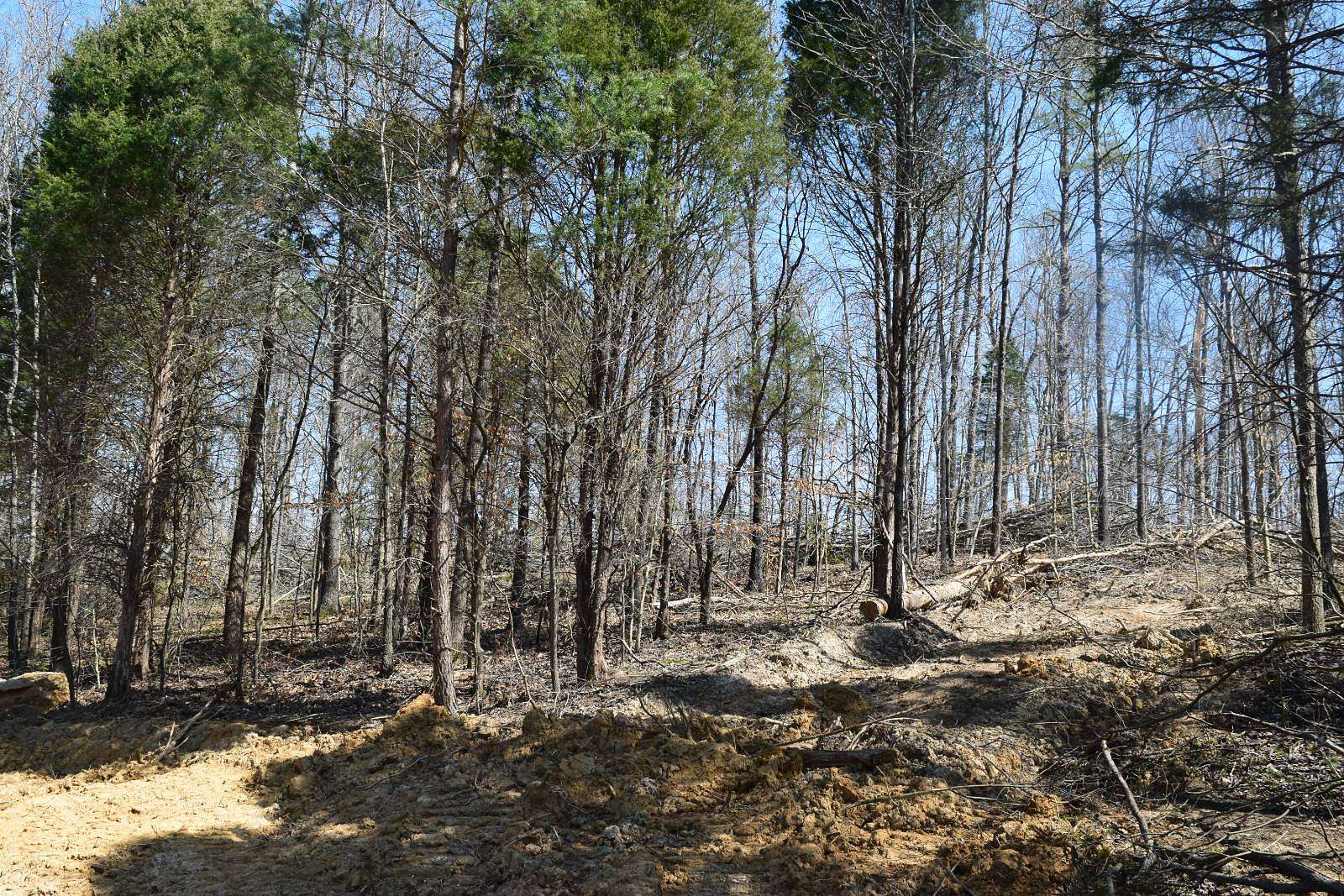 24 Acres of Land for Sale in English, Indiana