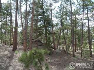 0.26 Acres of Land for Sale in Red Feather Lakes, Colorado