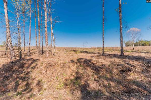 10.5 Acres of Land for Sale in Batesburg, South Carolina