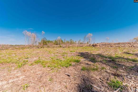 25.6 Acres of Land for Sale in Batesburg, South Carolina