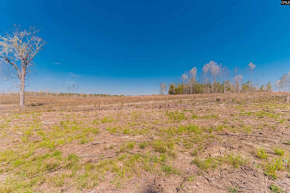 22.04 Acres of Land for Sale in Batesburg, South Carolina