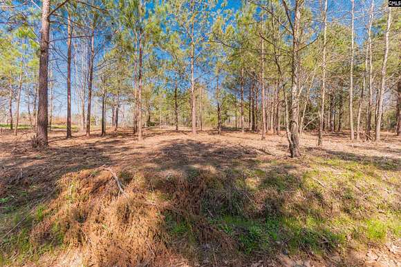 26.4 Acres of Land for Sale in Batesburg, South Carolina