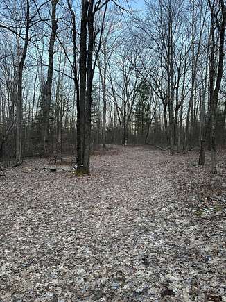 10 Acres of Recreational Land for Sale in Barton City, Michigan