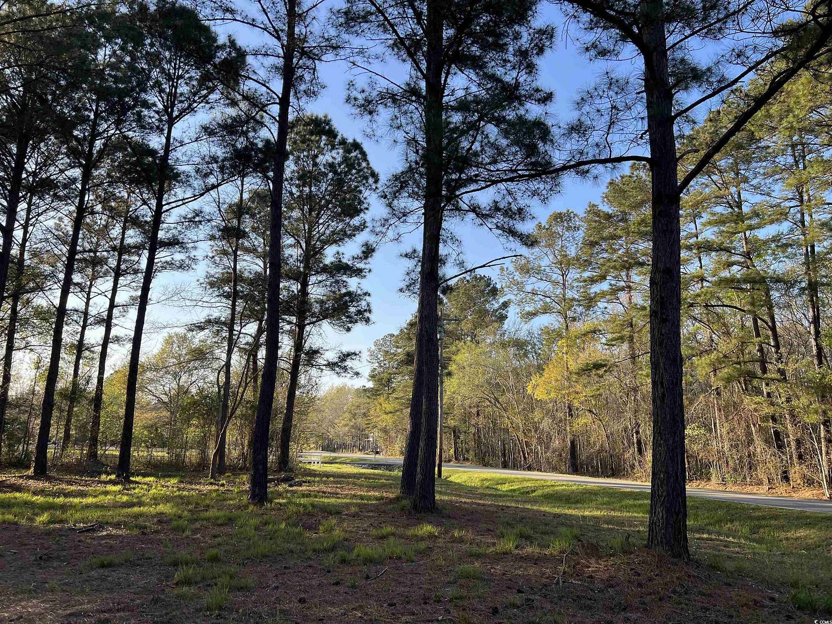 2.6 Acres of Residential Land for Sale in Conway, South Carolina
