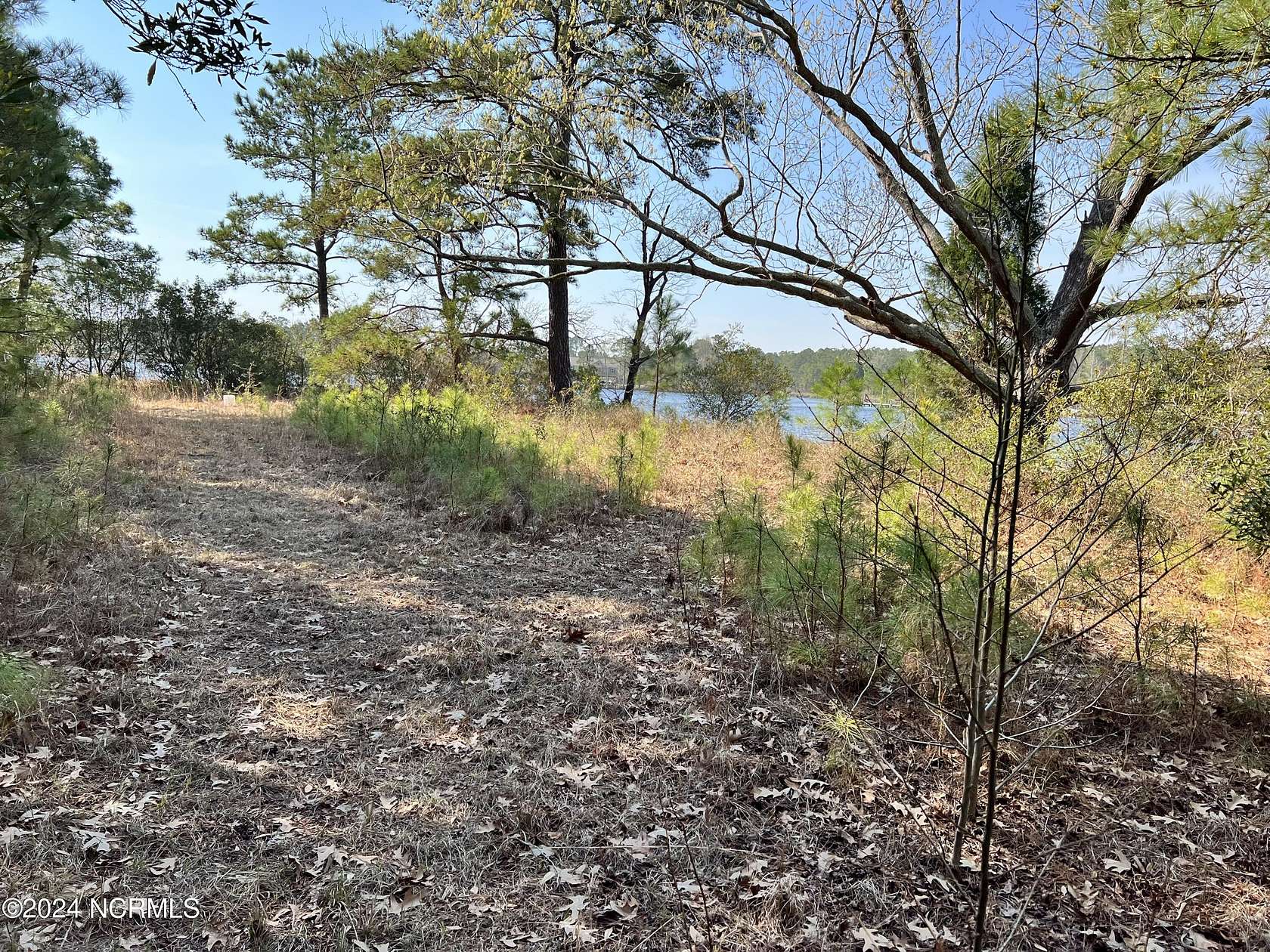 0.81 Acres of Residential Land for Sale in Belhaven, North Carolina