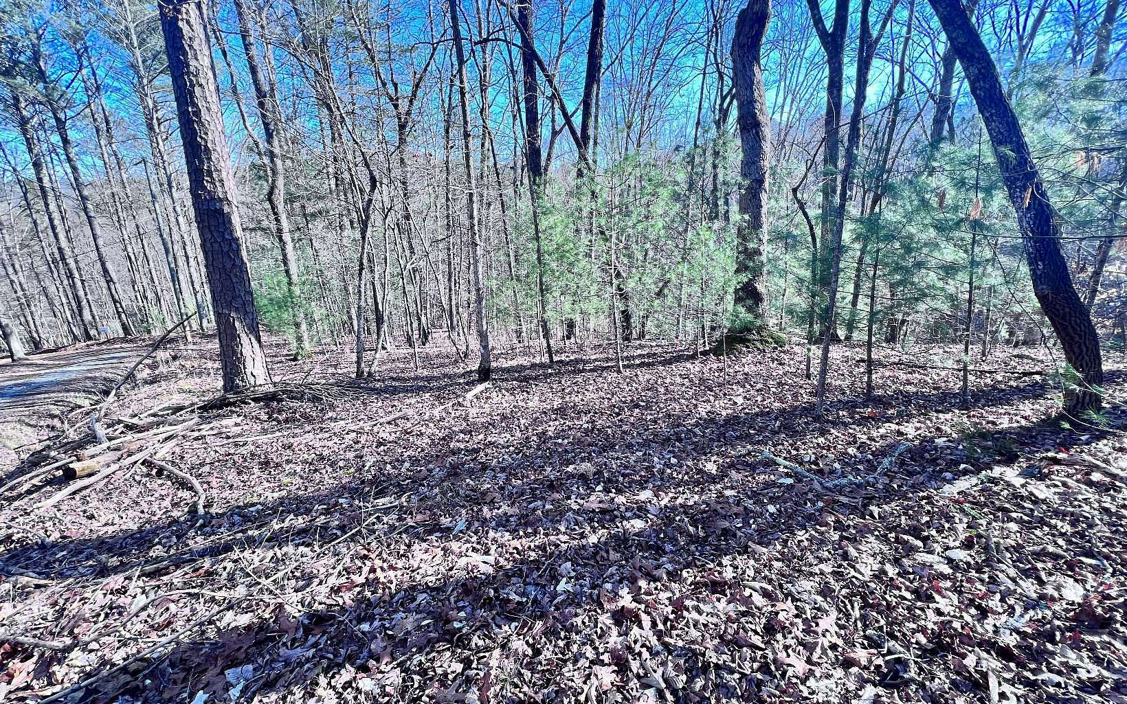 0.404 Acres of Land for Sale in Ellijay, Georgia