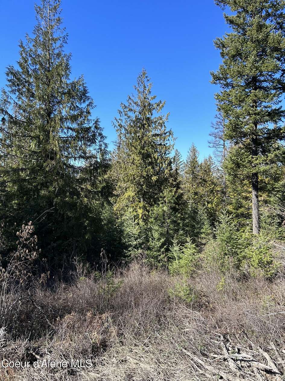 10 Acres of Residential Land for Sale in Cocolalla, Idaho