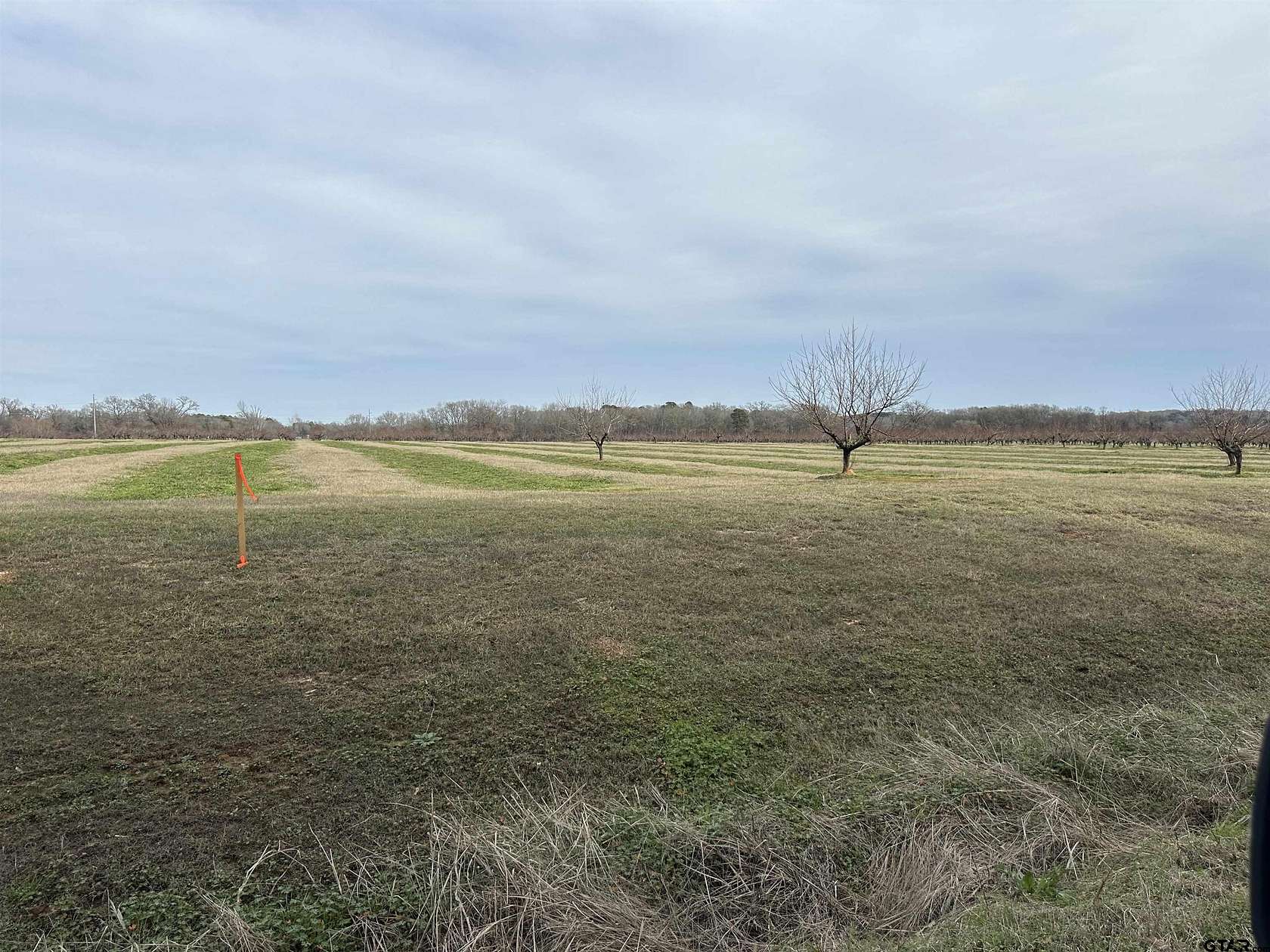 1.14 Acres of Residential Land for Sale in Pittsburg, Texas