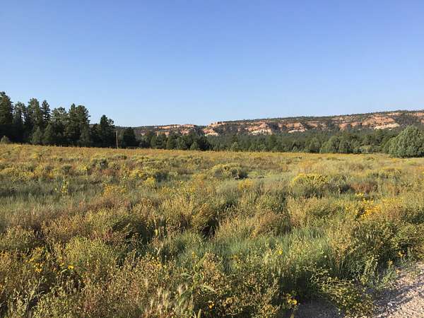 5.4 Acres of Recreational Land for Sale in Ramah, New Mexico