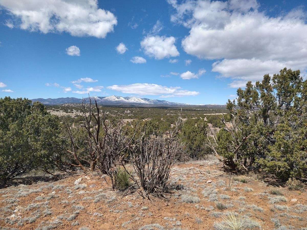 40.4 Acres of Land for Sale in Mountainair, New Mexico