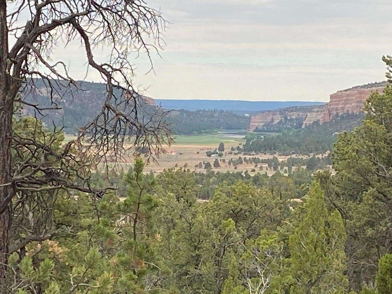 6.19 Acres of Recreational Land for Sale in Ramah, New Mexico