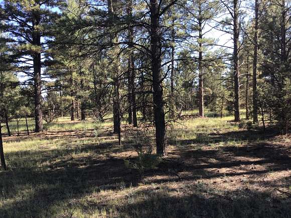 5.4 Acres of Land for Sale in Ramah, New Mexico