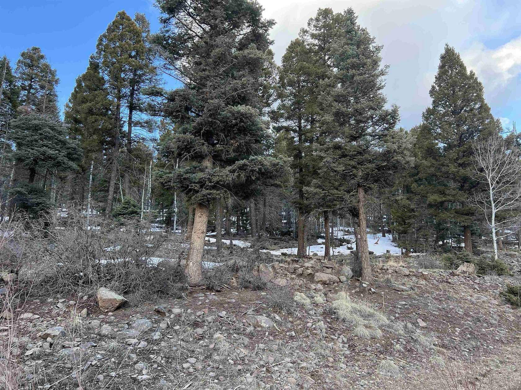 0.84 Acres of Residential Land for Sale in Angel Fire, New Mexico