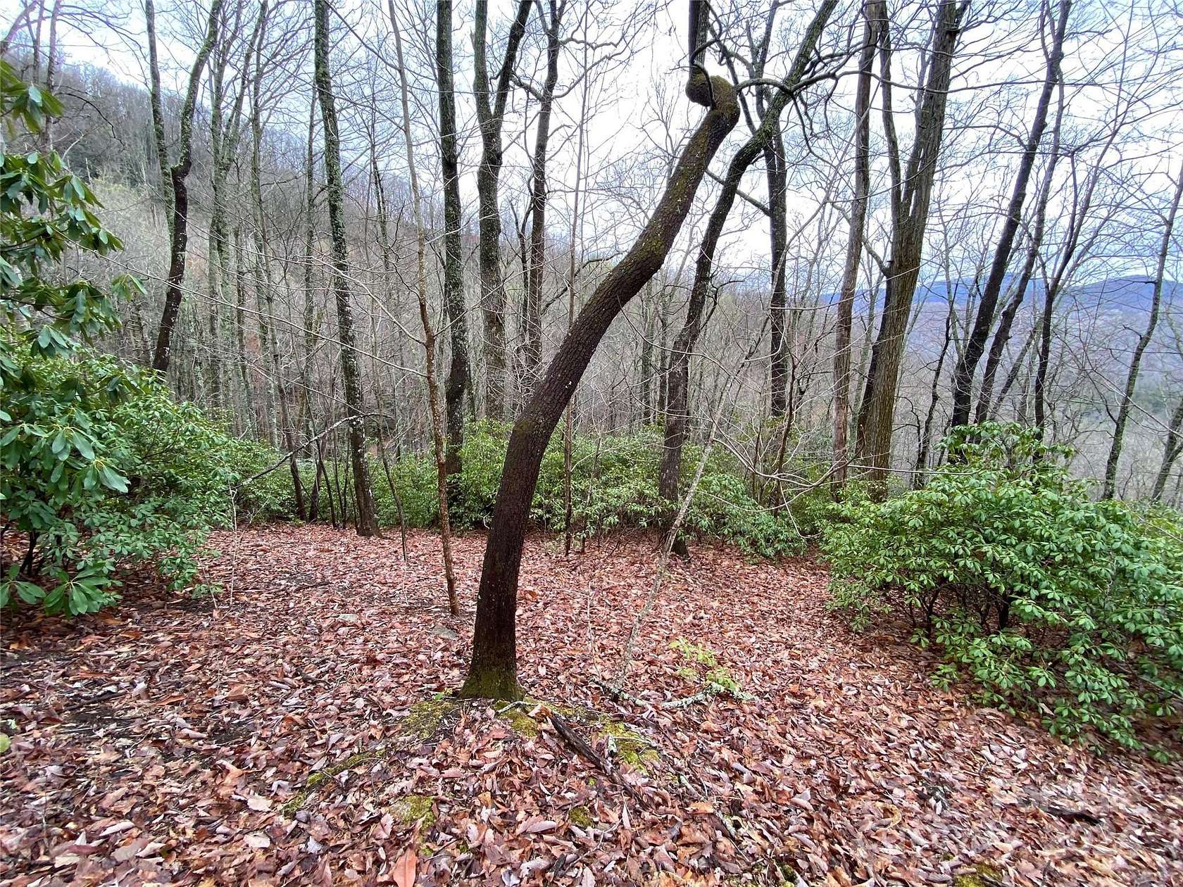 3.5 Acres of Land for Sale in Black Mountain, North Carolina