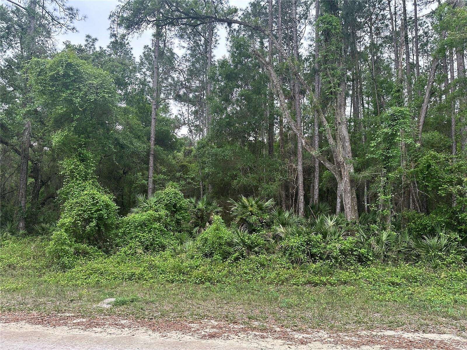 0.77 Acres of Residential Land for Sale in Webster, Florida