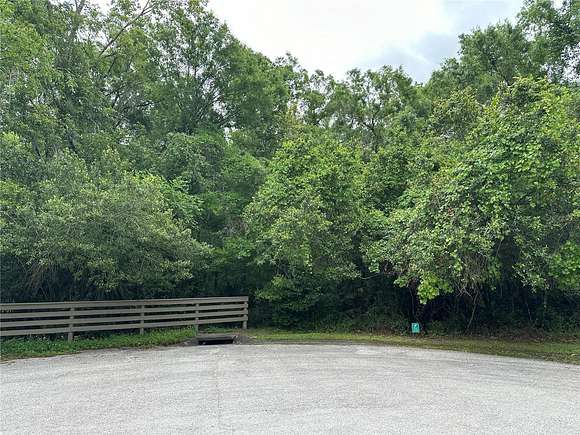 21.2 Acres of Recreational Land for Sale in Lutz, Florida