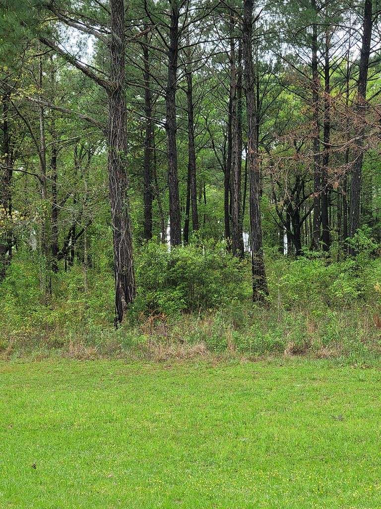 1 Acre of Residential Land for Sale in Bainbridge, Georgia