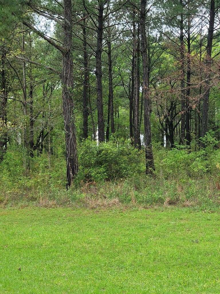 1.03 Acres of Residential Land for Sale in Bainbridge, Georgia