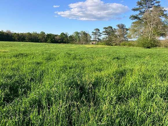 19.3 Acres of Land for Sale in Kokomo, Mississippi
