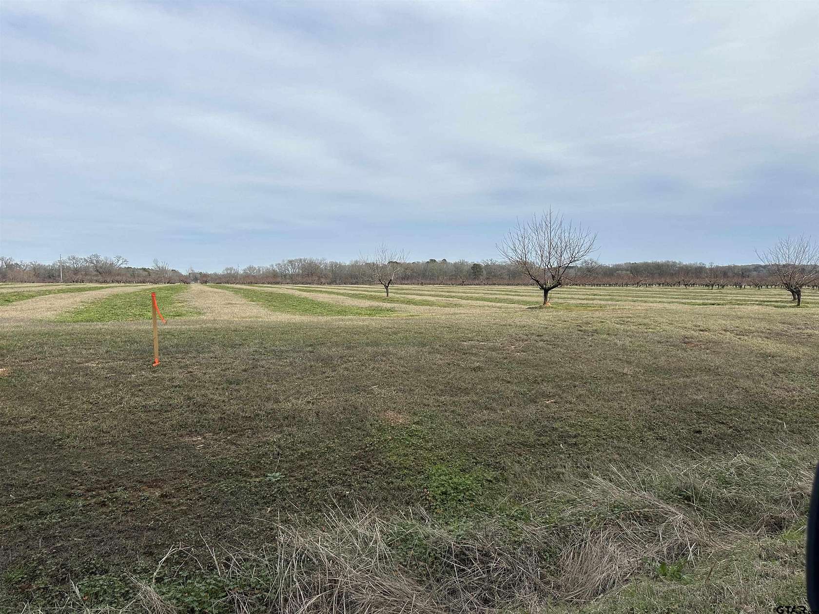 1.1 Acres of Residential Land for Sale in Pittsburg, Texas