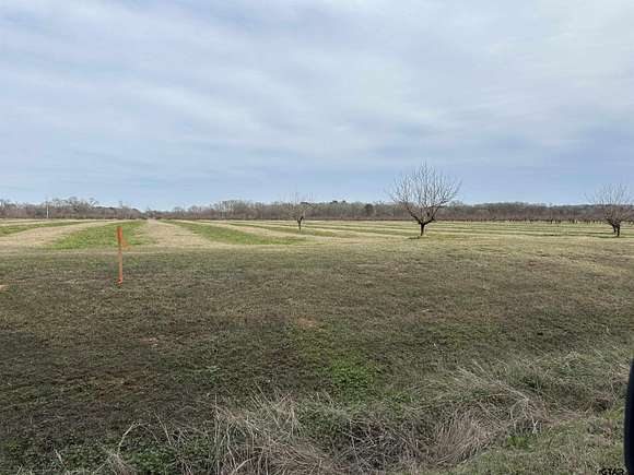 1.14 Acres of Residential Land for Sale in Pittsburg, Texas