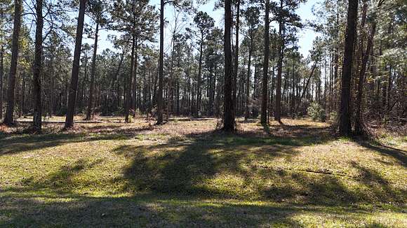 1.6 Acres of Residential Land for Sale in Beaufort, North Carolina
