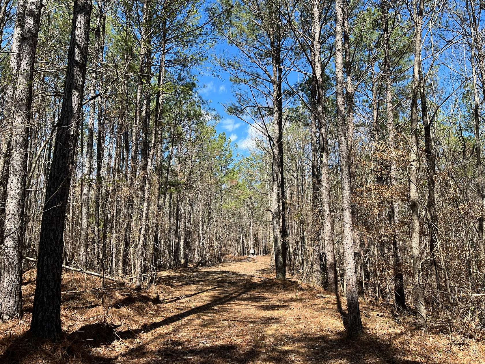 45 Acres of Recreational Land for Sale in Vina, Alabama