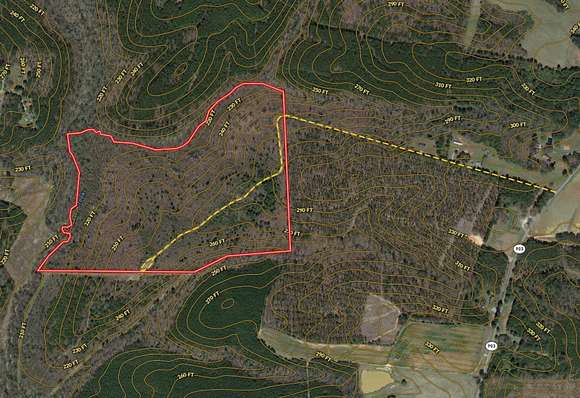 53.5 Acres of Recreational Land for Sale in South Hill, Virginia