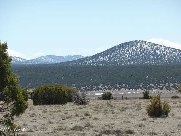 30 Acres of Land for Sale in Show Low, Arizona