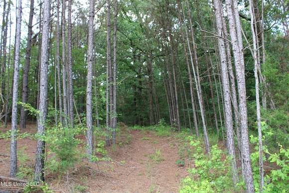 4.3 Acres of Land for Sale in Coldwater, Mississippi