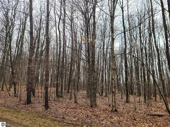 0.79 Acres of Residential Land for Sale in Elmira, Michigan