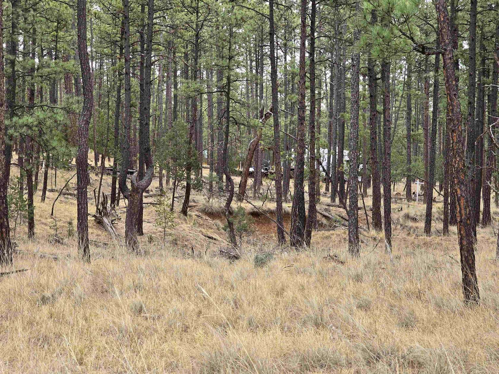 0.85 Acres of Residential Land for Sale in Timberon, New Mexico