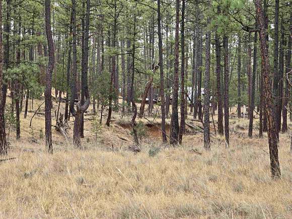 0.849 Acres of Residential Land for Sale in Timberon, New Mexico