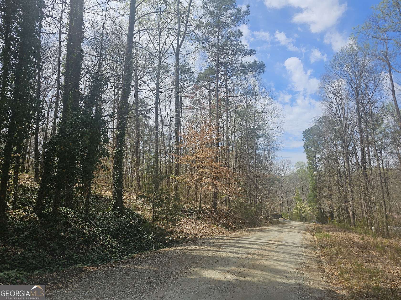 0.2 Acres of Residential Land for Sale in Lavonia, Georgia