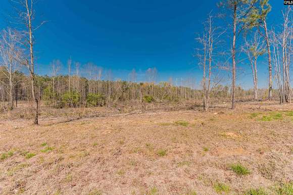 25.1 Acres of Land for Sale in Batesburg, South Carolina