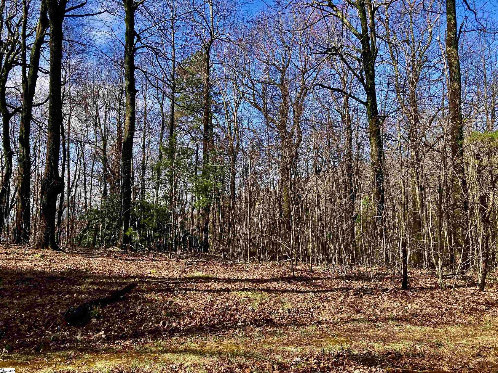 0.95 Acres of Residential Land for Sale in Zirconia, North Carolina