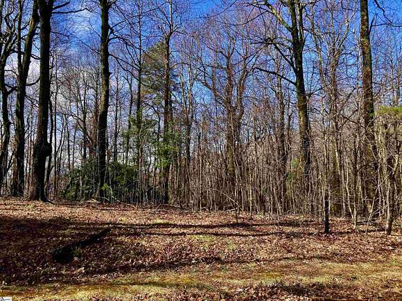 0.95 Acres of Residential Land for Sale in Zirconia, North Carolina