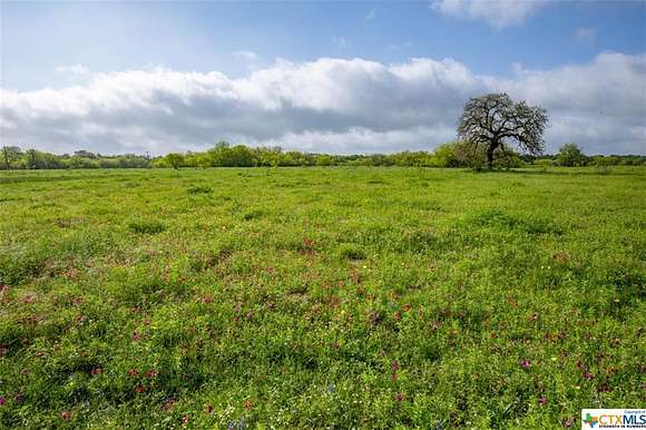 64.3 Acres of Land for Sale in Wrightsboro, Texas