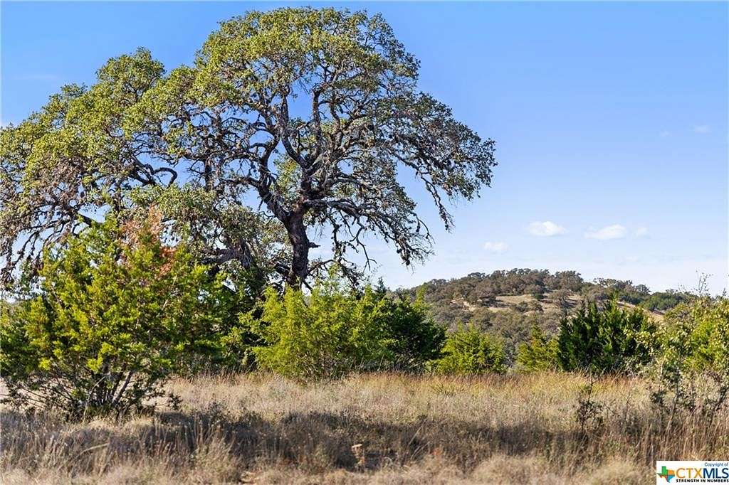 9 Acres of Residential Land for Sale in Johnson City, Texas
