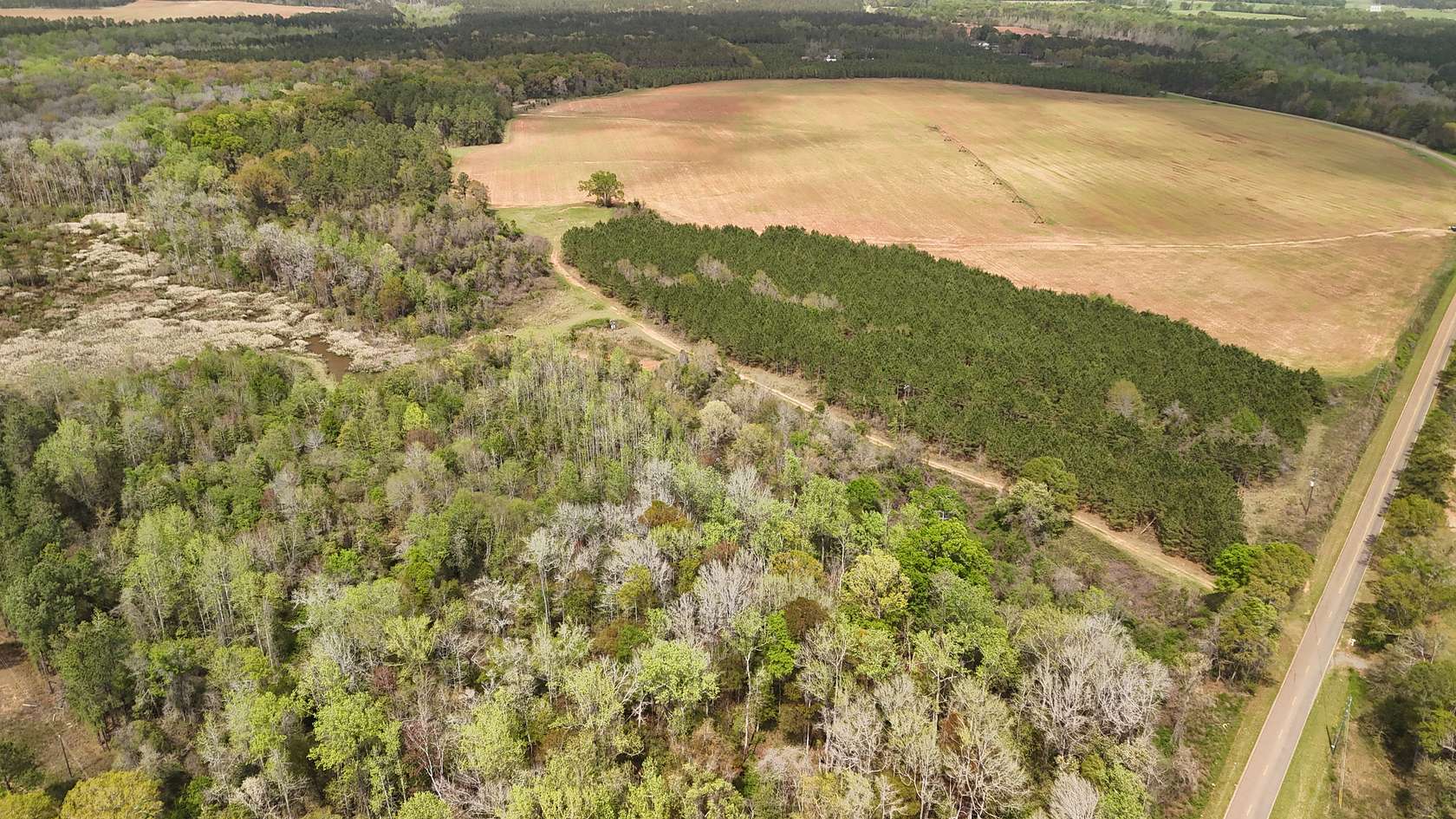 242 Acres of Recreational Land & Farm for Sale in Edison, Georgia